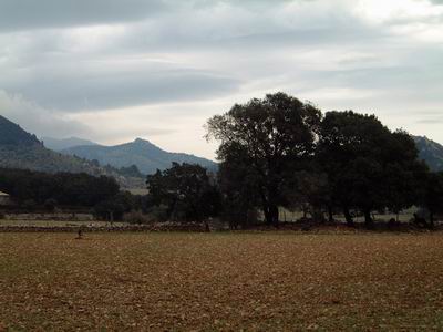 DSCF0074.JPG
